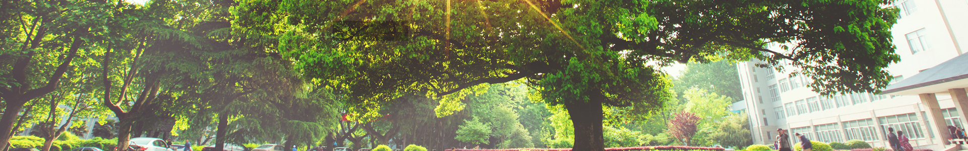 Topbanner 02
